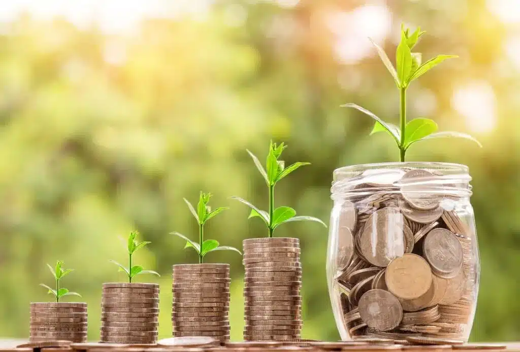 Croissance financière représentée par des piles de pièces de monnaie avec des plantes vertes poussant au sommet, symbolisant la croissance et l'investissement durable.